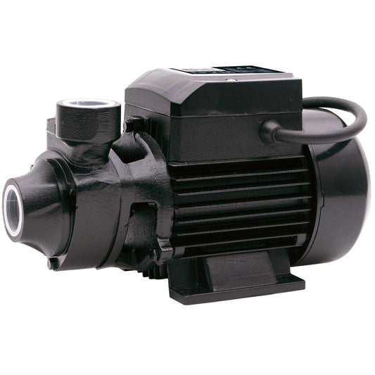 SIP EP2M Electric Surface Water Pump, Sip Industrial