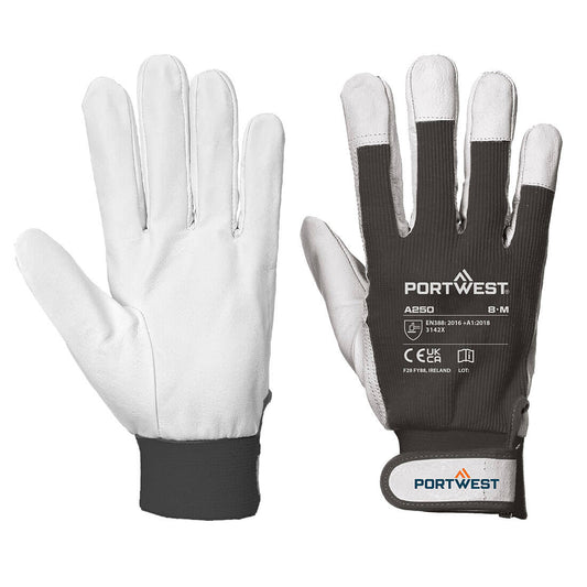 Tergsus Glove, Morgans PW