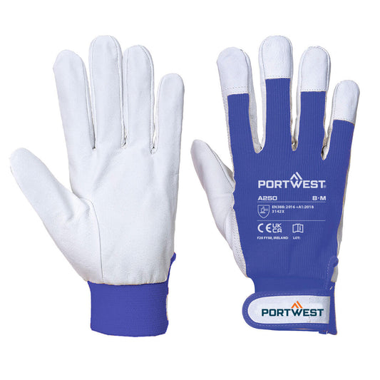 Tergsus Glove, Morgans PW