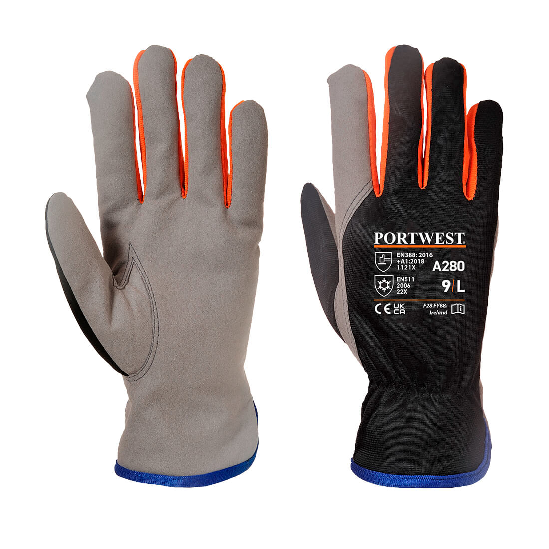 Wintershield Glove, Morgans PW