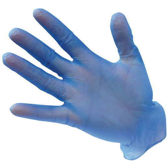 Powder Free Vinyl Disposable Glove (Pk100), Morgans PW