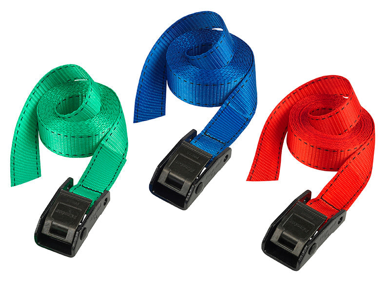 Lashing Strap with Metal Buckle, Coloured 2.5m 150kg (Pack 2), Master Lock