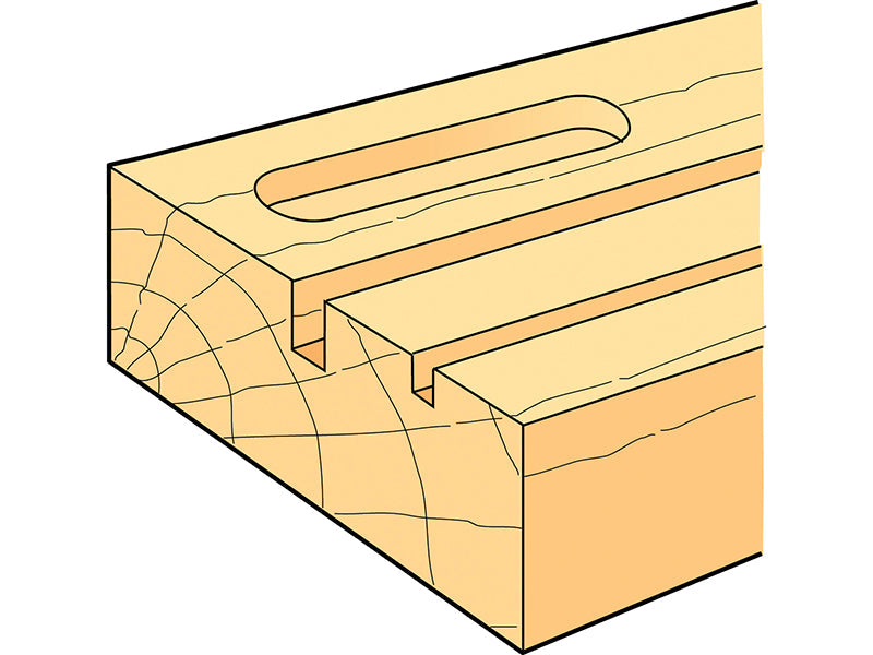 TR12 x 1/4 TCT Two Flute Cutter Long Shank 12 x 19mm, Trend